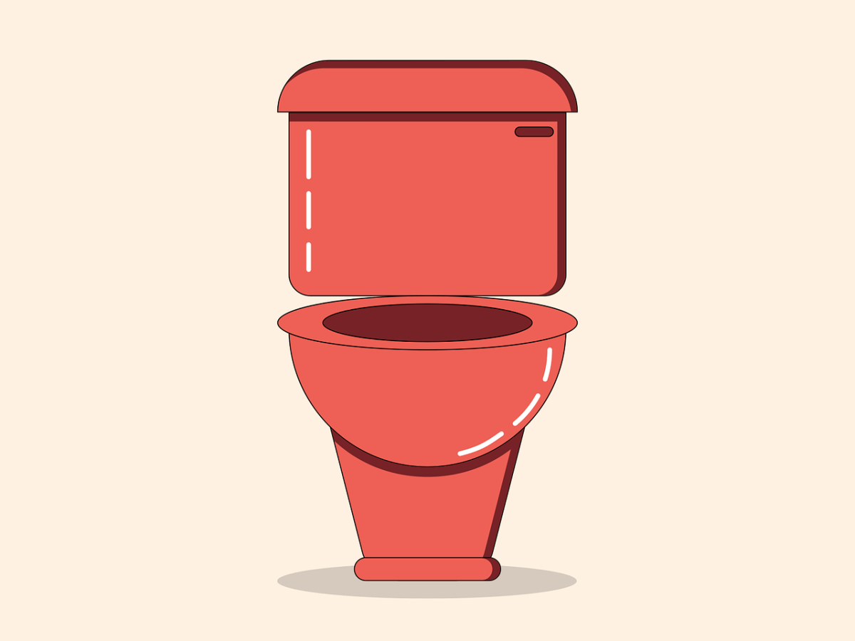 Como ir al baño en&nbsp;vacaciones